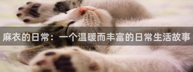 韩漫免费漫画全集在线看完整版