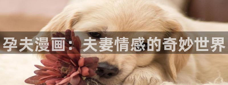 无删减遮羞韩漫大全漫画免费